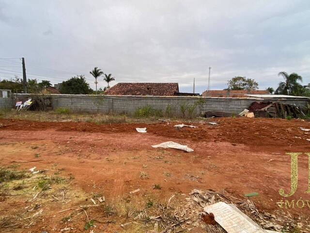 #004 - Terreno para Venda em Balneário Barra do Sul - SC - 3