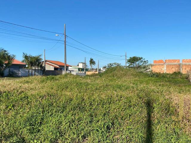 Terreno para Venda em Balneário Barra do Sul - 4