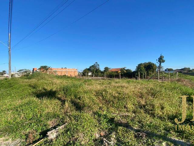 #038 - Terreno para Venda em Balneário Barra do Sul - SC - 1