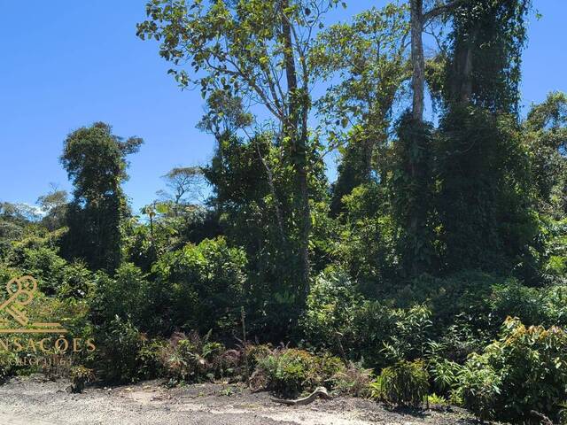 #72 - Área para Venda em Balneário Barra do Sul - SC - 3