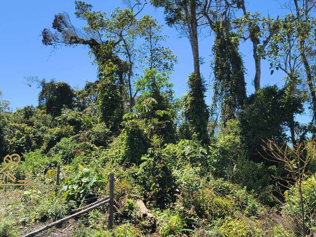 Área para Venda em Balneário Barra do Sul - 4
