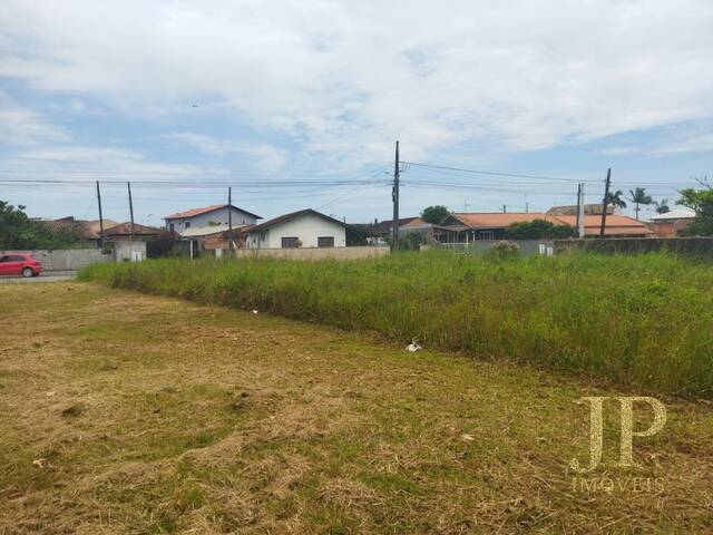 #85 - Terreno para Venda em Balneário Barra do Sul - SC - 2
