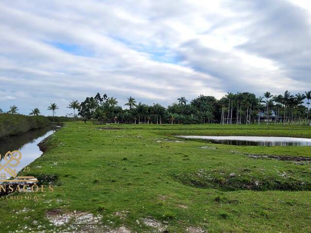 Área para Venda em Balneário Barra do Sul - 5