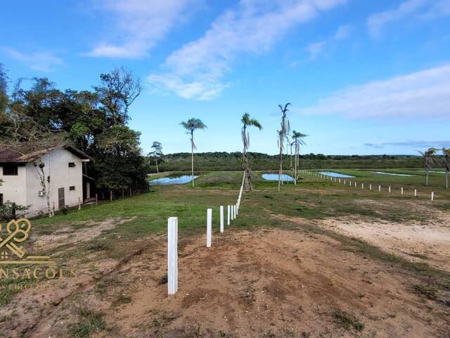Área para Venda em Balneário Barra do Sul - 4