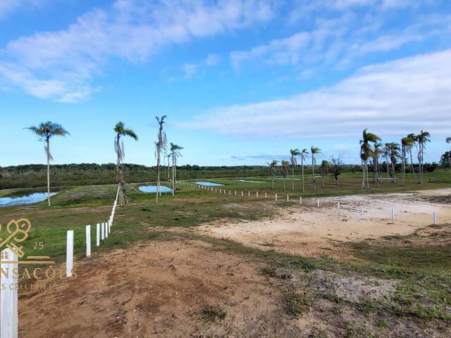 #102 - Área para Venda em Balneário Barra do Sul - SC - 3