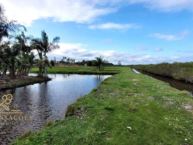Área para Venda em Balneário Barra do Sul - 5