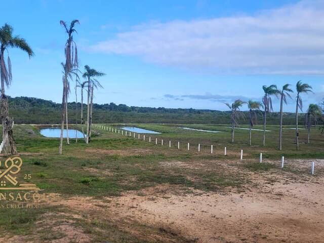 #106 - Área para Venda em Balneário Barra do Sul - SC - 2