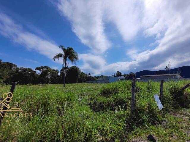 Venda em Pinheiros - Balneário Barra do Sul