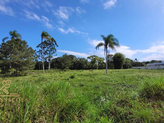 #108 - Área para Venda em Balneário Barra do Sul - SC - 3