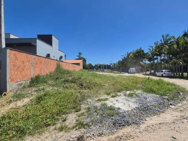 Área para Venda em Balneário Barra do Sul - 5